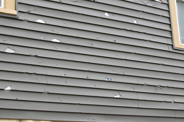 Best Stucco Siding  in Sunset Beach, NC